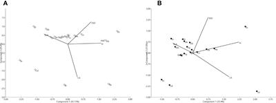 Adaptations to the stressful combination of serpentine soils and Mediterranean climate drive plant functional groups and trait richness